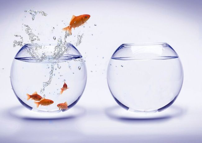 Правильная постановка целей - Бурхаев_0.jpg